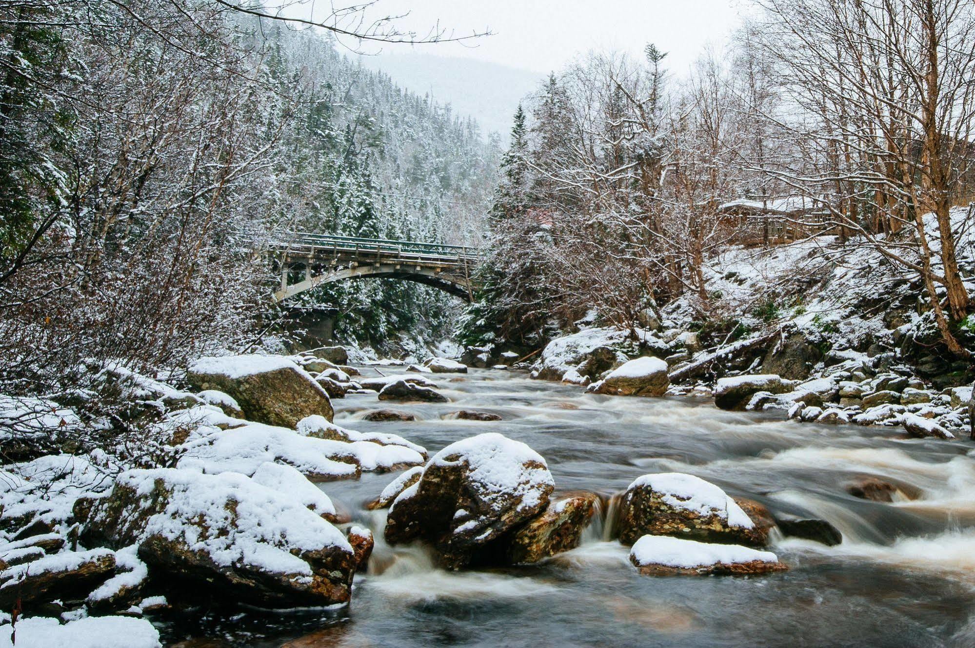Marblewood Village Resort Steady Brook Exteriör bild